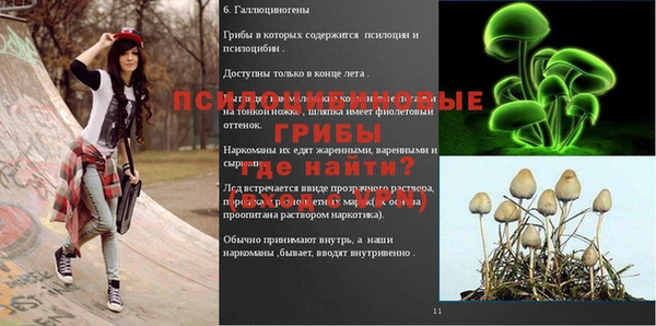 кокс Няндома