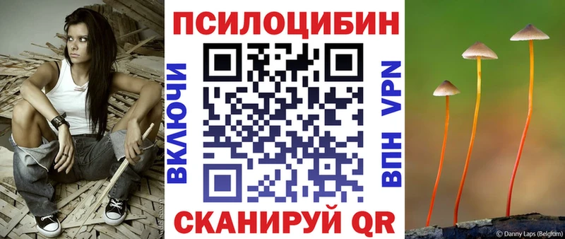 магазин продажи наркотиков Чулым Галлюциногенные грибы Magic Shrooms